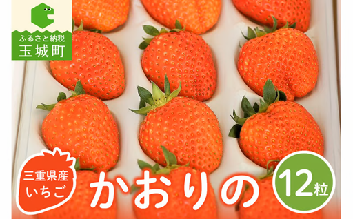 三重県玉城産 いちご 「かおりの」 12粒入り