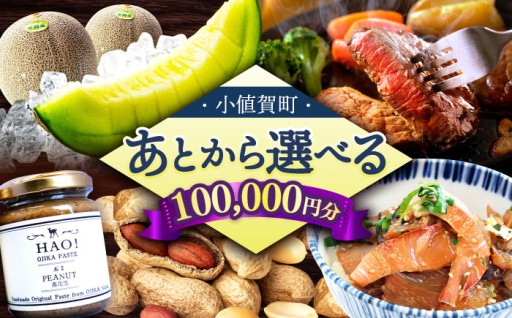 あとからゆっくり選べる返礼品！ 