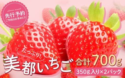 “味と鮮度は日本一”と呼ばれた土地から。美都いちご（350g×2パック）。🍓✨
