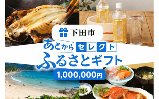 あとからセレクト【ふるさとギフト】１００万円