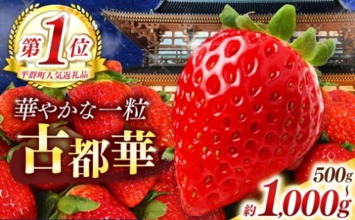 古都華 約 500g～ 1000g （2～4パック） M ～ 3L サイズ