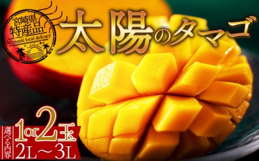 宮崎県産 太陽のタマゴ 2Lor3L 1or2個