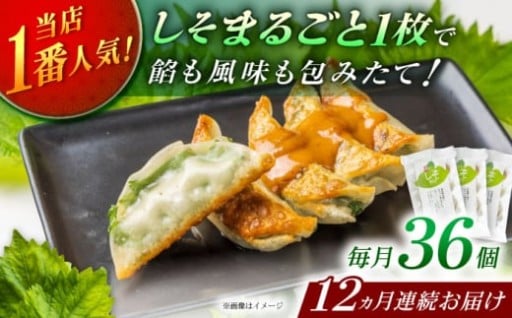 【香り立つ定期便！】専門店が送るしそ餃子！