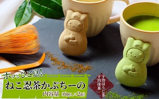 ギフトにも最適！ほっと一息、ねこ忍茶かぷちーの 2箱セット