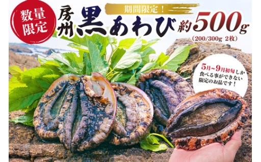 【先行受付】【数量限定】房州黒あわび 約500g
