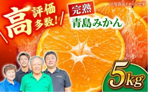 ＼ひとつ食べるととまらない♪／完熟★青島みかん 約5kg