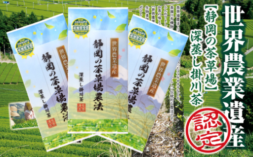 世界農業遺産 茶草場農法 深蒸し掛川茶 100g×3袋