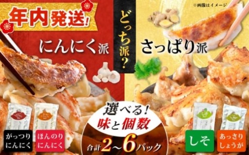 【あなたはどっち派？】国産素材の手作り餃子