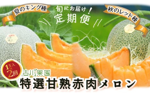 先行予約限定！古川果園のメロン定期便