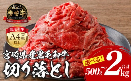 【宮崎県宮崎市】宮崎牛 切り落とし