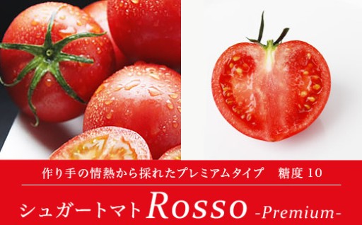 糖度10度以上！日高村産フルーツトマト「ロッソプレミアム」2026年2月お届け