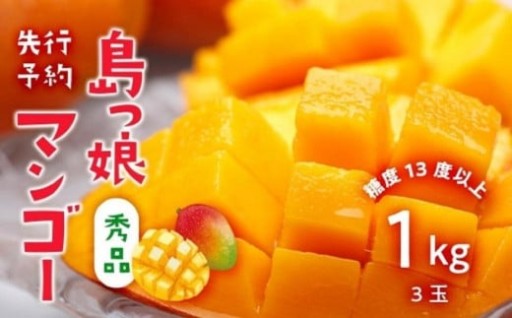 与論島産　島っ娘マンゴー（秀品）1kg　2～3玉　糖度13度以上