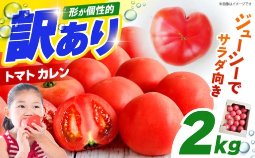 【1～4月発送】ジューシーさが自慢のトマト！