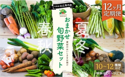 【12ヶ月定期便】 おまかせ旬野菜セット