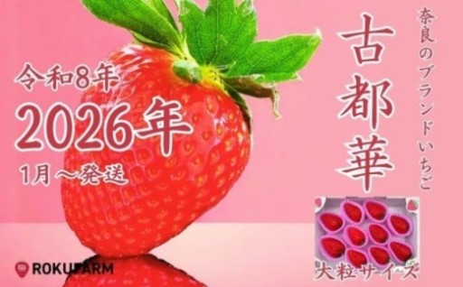 奈良のいちご 古都華 1箱 大粒サイズ 2026年1月以降発送