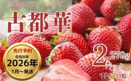 奈良ブランド苺【古都華】270g×2パック（数量限定 予約販売） 