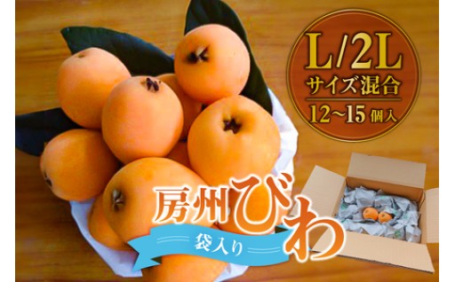 【先行受付】房州びわ Ｌ･2Ｌサイズ混合袋びわ