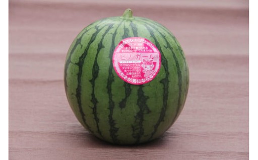 【先行予約】798.種ごと食べられる！小玉スイカ