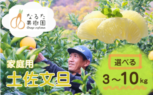 田果樹園の土佐文旦 3kg（L～3L・ご家庭用）
