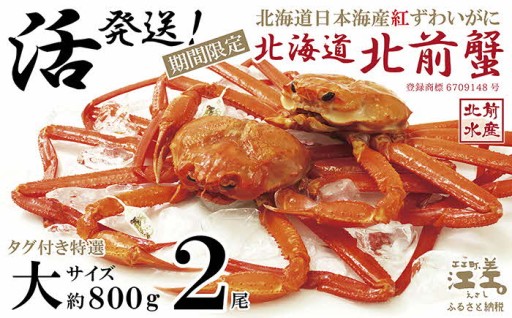 2026年3～4月限定出荷　生発送！北海道北前蟹