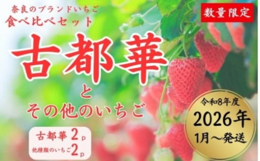 奈良ブランドいちご２種 食べ比べセット×２セット