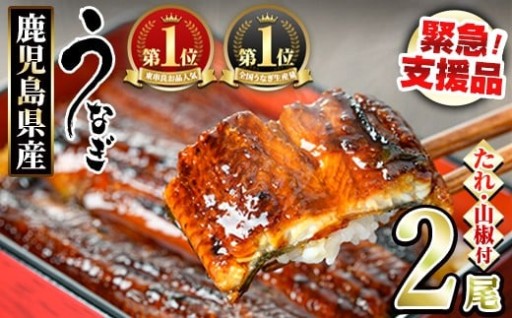 ＜発送時期が選べる＞東串良町のうなぎ蒲焼(無頭)(2尾・計約300g・タレ、山椒付)