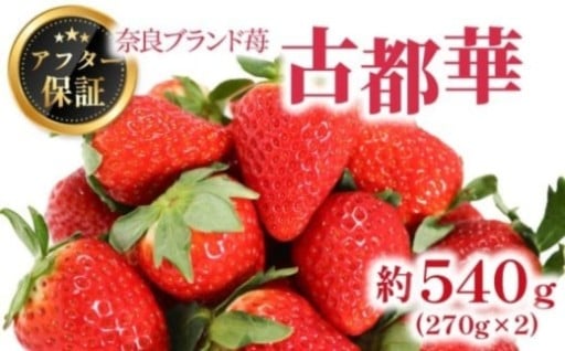 古都華 約1kg 250g×4パック 2026年1月発送