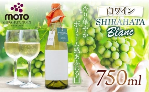 MOTO Wine Shirahata Blanc
