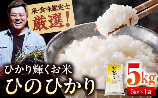 稲工房案山子の光り輝くお米、ヒノヒカリ