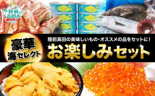 ★☆お楽しみセット　豪華！ お楽しみ＼海／【うに・いくら・鮮魚・サーモン・かに・ホヤ ・海藻 など】