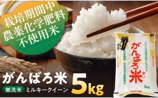 ＼お申込みは12月31日まで！／がんばろ米5kg