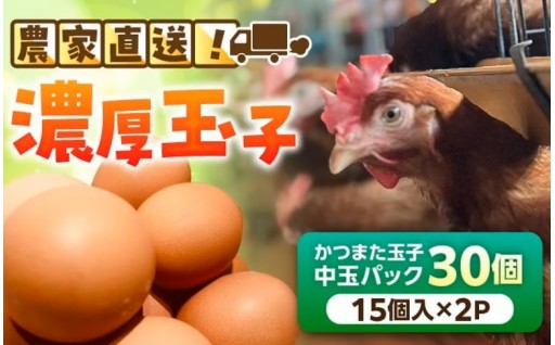 農家直送！濃厚玉子30個 (25個+割れ保証5個