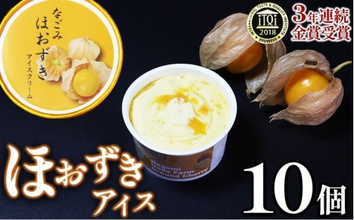 【 国際味覚コンクール 3年連続金賞受賞 】プリンセスほおずき使用 なごみほおずきアイスクリーム 10個