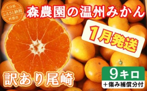 【訳あり品】森農園の温州みかん 尾崎 9kg＋傷み補償分200g 