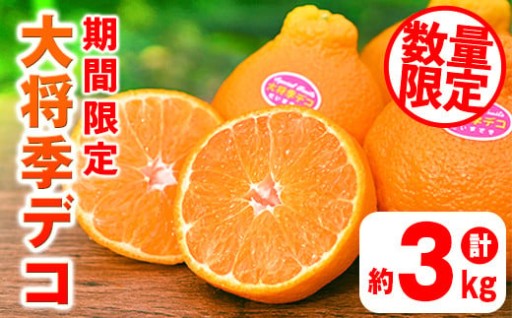 ＜先行予約受付中！2026年2月上旬より順次発送予定＞《期間・数量限定》大将季デコ(約3kg)