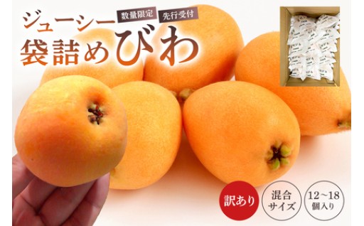 【先行受付】【数量限定】ジューシー袋詰めびわ
