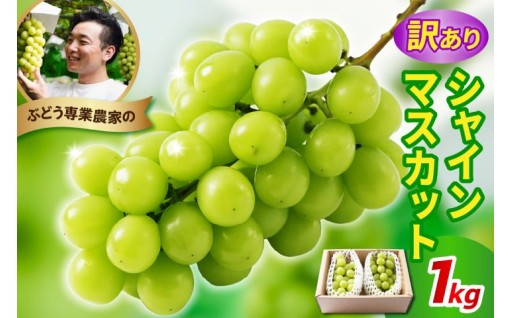 🌸2025年 総合ランキング🌸　🏆第2位🏆