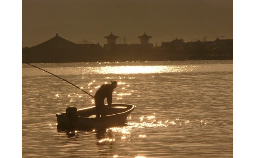 謹んで新春のお慶びを申し上げます。