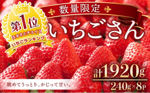 佐賀県産『いちごさん』好評予約受付中！
