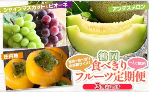 鶴岡食べきりフルーツ定期便（3回お届け）