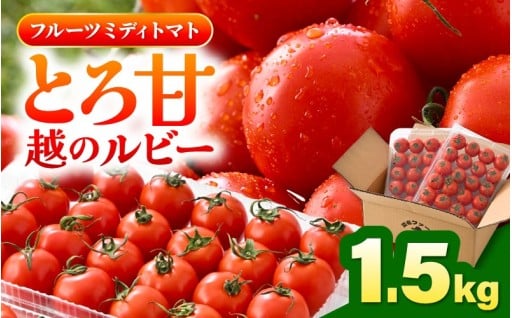 【とろ甘】まるでフルーツ？！濃厚な甘さ🍅高糖度✨