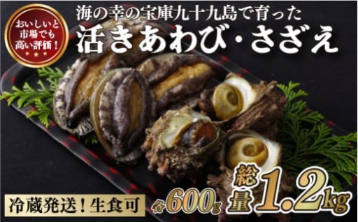 九十九島あわび(600g)･さざえ(600g) 