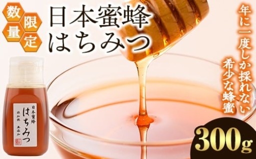 数量限定！日本蜜蜂 はちみつ(300g) 