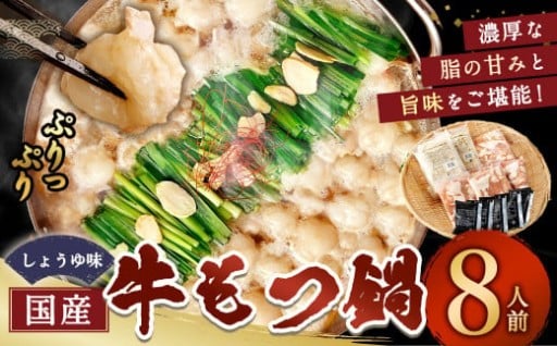 【選べる発送月】 国産牛もつ鍋 8人前 ちゃんぽん 濃縮スープ付（醤油味）