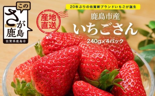 いちごさん 240g×4P★先行予約★