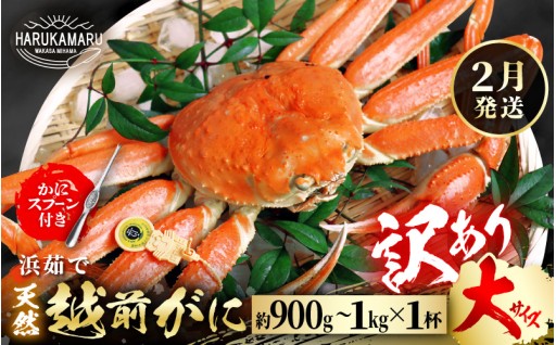 【茹でたて】福井の冬の醍醐味！本場からお届け🦀✨