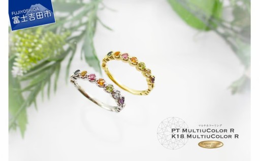 マルチカラーリング