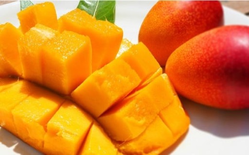 あまい！とろける！毎年大人気の完熟マンゴー！