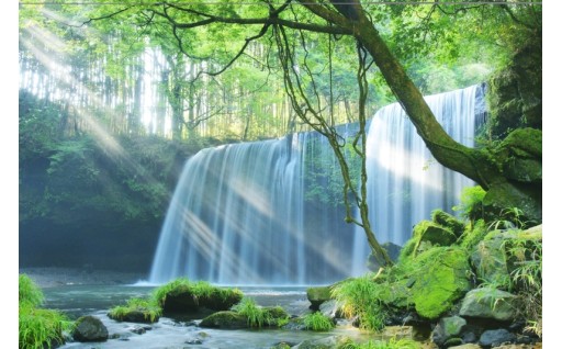 ＼25年ふるさと納税ご寄付への御礼とご挨拶／