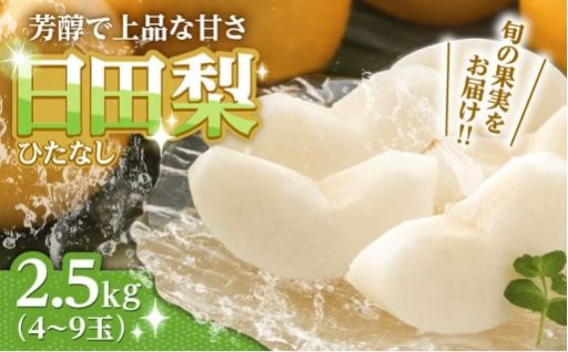 【先行予約・26年7月以降発送】旬の日田梨お届け便 約2.5kg